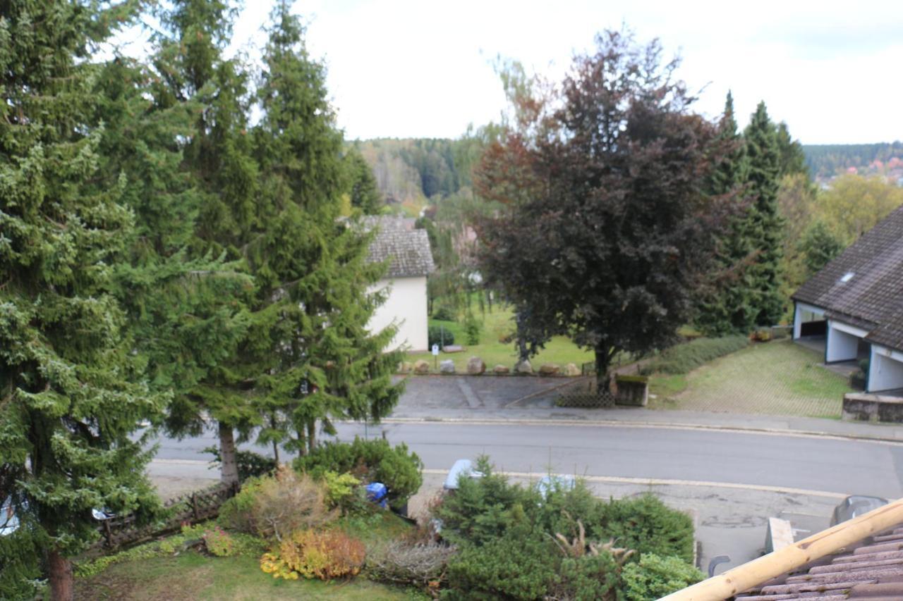 Mitten In Braunlage Mit Tollem Ausblick Buitenkant foto
